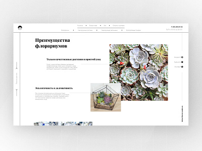 flowers online-shop, page concept design flowers inspiration online shop ui ui ux web website website concept