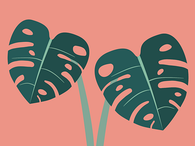 Monstera Leaves