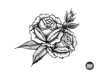 Roses illustration art black blackboozeillustrations drawing flower icon illustration rose tattoo white