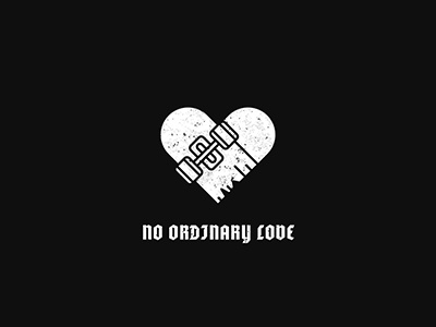 No Ordinary Love