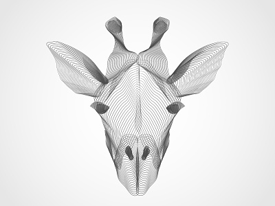 X-ray Giraffe animal face giraffe grayscale illustration lines wireframe x ray