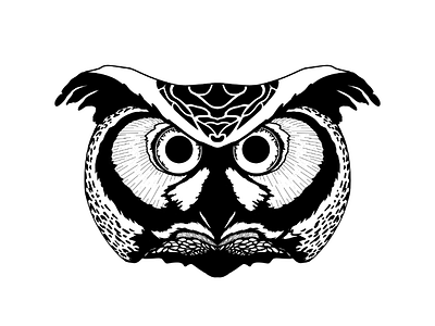 Owl animal black and white design owl