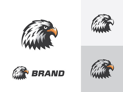 Eagle Logo bald eagle logo bird logo brand branding design eagle eagle illustration eagle logo eagle logo for sale eagle mascot logo eagle vector logo falcon hawk logo illustration logo logo design mascot eagle design patriotic vector