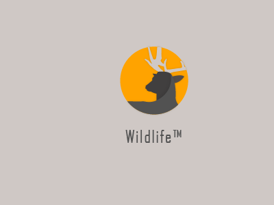 Wildlife