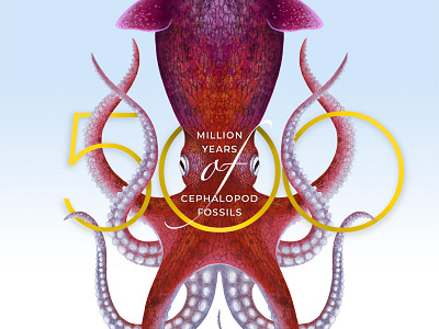 Cephalopods Behance cover
