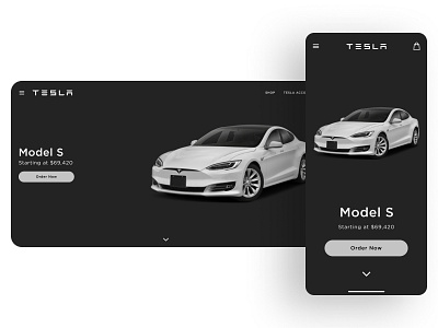 Tesla's Website Redesign Landing Page