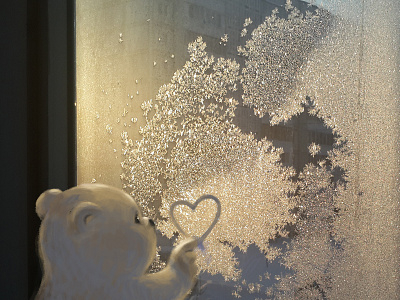 Drawing on a frosty window bear drawind with finger drawing frosty frozen love photo photography photoshop st.valentine wacom window