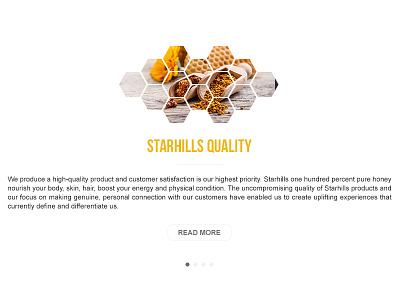 Starhills Honey website design hexagons honey photoshop starhills ui ux web website website animation