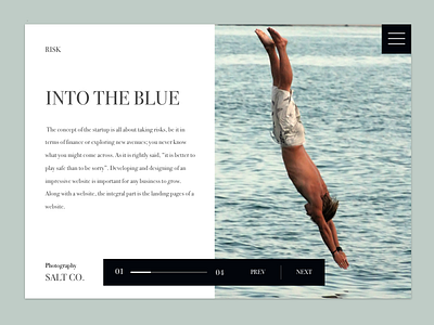 Dive daily ui design dive landing page minimal minimalism summer ui ux uxd web website