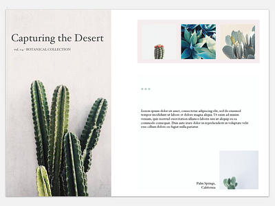 Succulents cactus daily ui design minimal minimalism sketch ui ux uxd web website