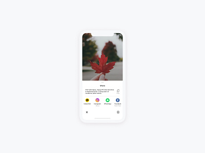 Social Sharing — Daily UI Challenge #010-2 app canadian citizen citizenship daily dailyui design follow idea instagram interface korea korean minimal share social ui user interface ux white