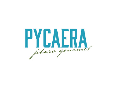 Pycaera Logo brand branding logo puerto rico