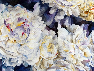 Watercolor Peonies