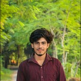 Nayan Dhali
