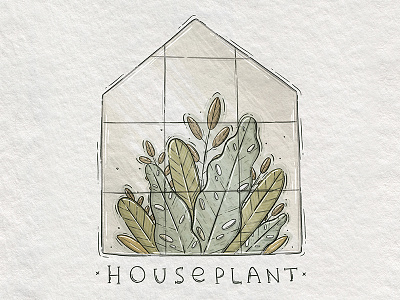 Houseplant 2d digital art drawing garden gardening green houseplant illustration leaves nycartist plant procreate