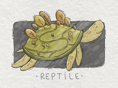 Reptile digital 2d drawing illustration illustration art procreate reptile turtle