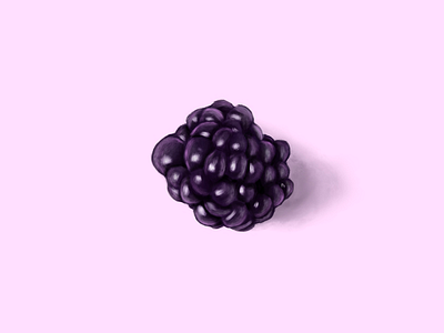 Blackberry art blackberry drawing fruit pink procreate purple