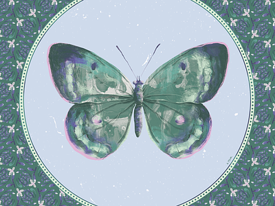 ornament series: butterfly | fragment closeup art artwork butterfly illustration jungle tropical