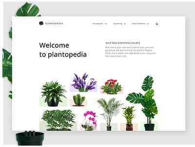 Plantopedia minimal website design design figmadesign minimal product design ui ux vector web webdesign