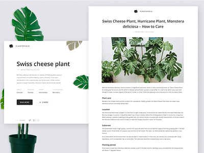 Plantopedia website best 2019 branding design figmadesign minimal product design typography ui ux web design webdesign website