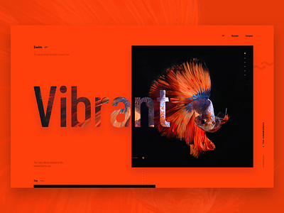 Swim animal category desktop e commerce fish hero layout monotone orange ui ux vibrant