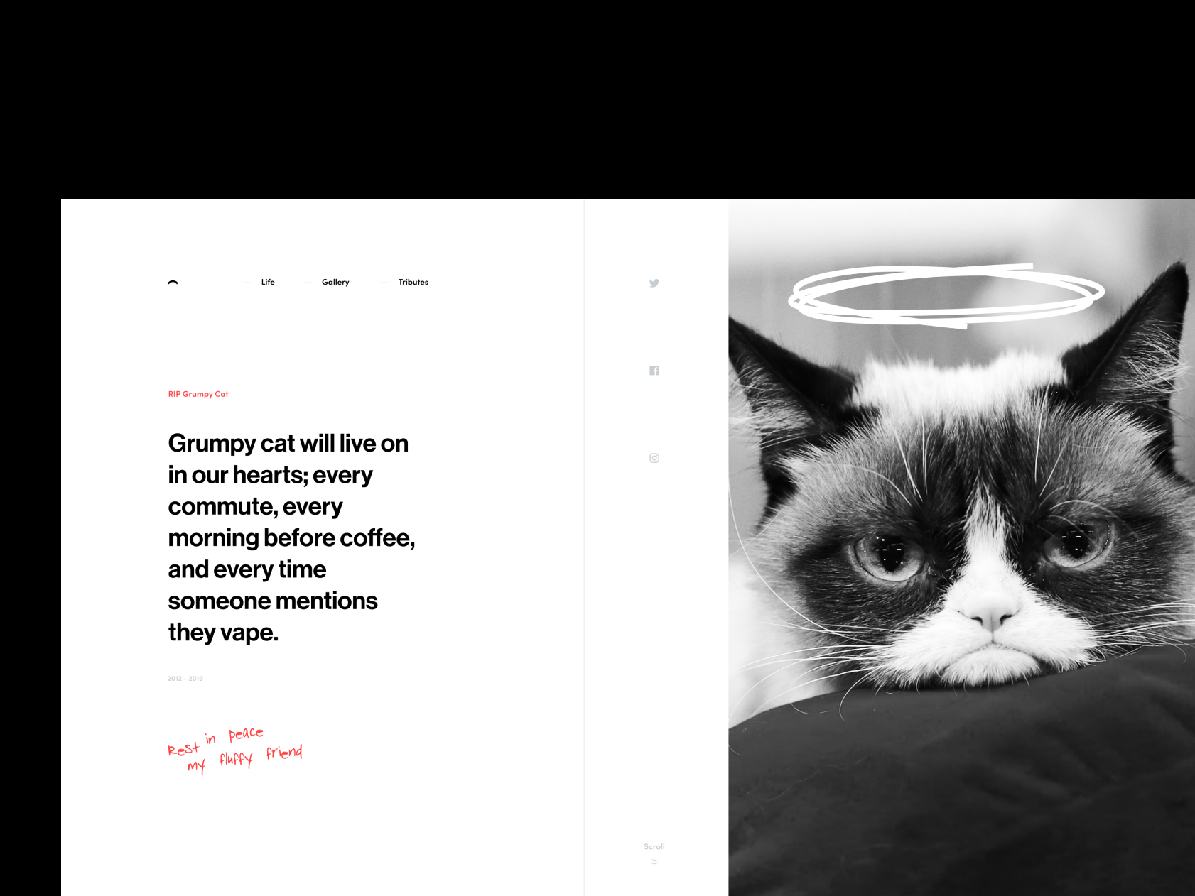 RIP Grumpy Cat by Cameron Sagey for Vincit on Dribbble