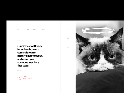 RIP Grumpy Cat black and white cat grayscale grid layout scribble typography ui ux web
