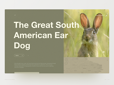 The Great South American Ear Dog animals bunny desktop doggo grid hero image hero section layout pupper ui ux web design website wildlife