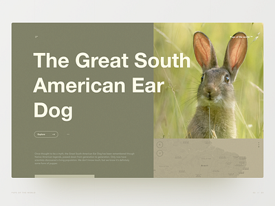 The Great South American Ear Dog