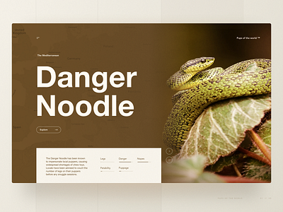 The Mediterranean Danger Noodle animal beige brown earth hero hero section snake tones ui ui design ux ux design web design wildlife