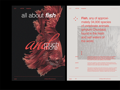 Magazine layout design abobephotoshop adobeindesign cover design fish graphic design indesign magazine magazinecover magazinelayout photoshop typography wild wildlife