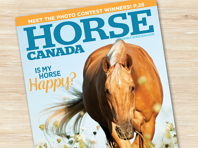 Logo Design for Horse Canada Magazine branding logos magazines publication design