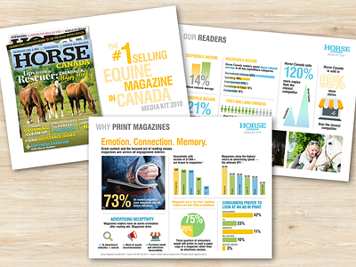 Media Kits for Horse Media Group branding presentations publication design