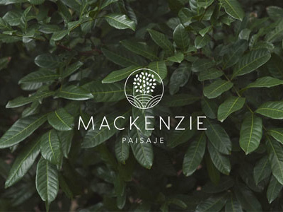 MACKENZIE PAISAJE brand branding design graphicdesign green landscaper landscaping logo nature photography simple