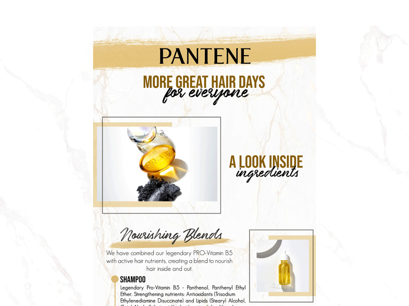 Pantene Lorikeet animation branding cartooning design dribbble graphic design lazada line art lorikeet new ui vector web design website website animation website banner website builder