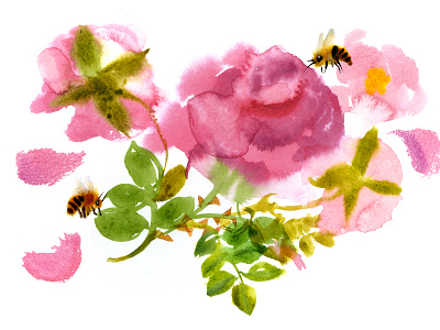Roses bees illustraion roses watercolor