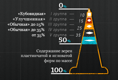 Info Gravel Stat infographic site vintage web