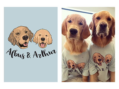 Albus & Arthur - two cool pups! blue dog friend fun golden pet puppy retriever