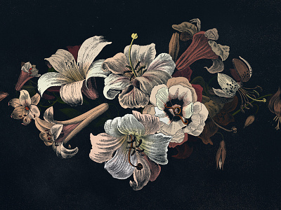Flowers etching flowers lilies