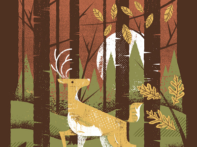 A deer in the woods