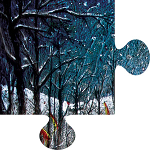 mewithoutYou Puzzle Piece #1 album mewithoutyou puzzle ten stories