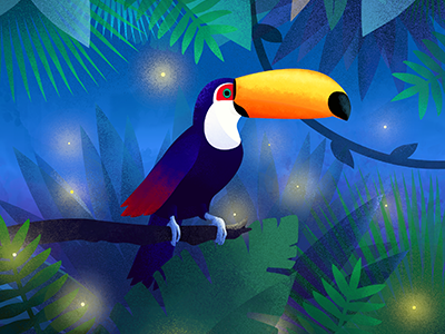 Mystical jungle dreamy forest illustration jungle mist toucan tropical