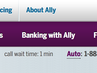 Banking with Ally