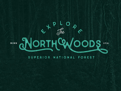 Explore the Northwoods explore minnesota northwoods superior national forest trees up north woods