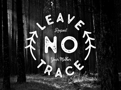 Leave No Trace badge leave no trace mother earth nature