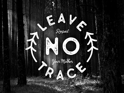 Leave No Trace badge