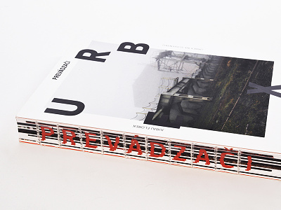 Book_Urban Exploration binding book bookdesign cover dtp graphicdesign layout print printing publishing typography
