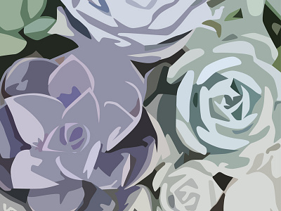 Succulents abstract coolcolors flowers green illustrator purple succulent succulents