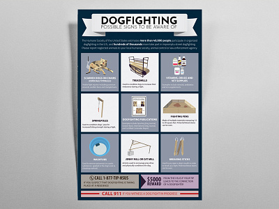 Dogfighting Poster