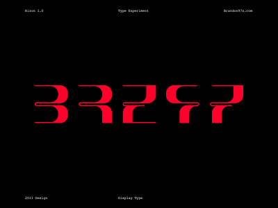 "Rizon" Type Experiment